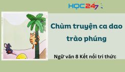 Chùm truyện ca dao trào phúng