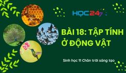 Bài 18: Tập tính ở động vật