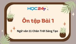 Ôn tập Bài 1