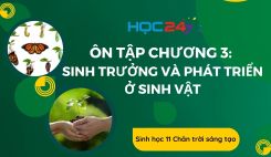 Ôn tập chương 3: Sinh trưởng và phát triển ở sinh vật