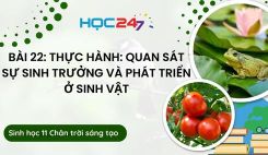 Bài 22: TH: Quan sát sự sinh trưởng và phát triển ở sinh vật