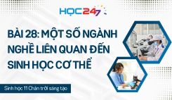 Bài 28: Một số ngành nghề liên quan đến sinh học cơ thể