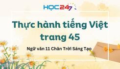 Thực hành tiếng Việt trang 45