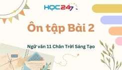 Ôn tập Bài 2