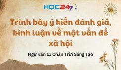 Trình bày ý kiến đánh giá, bình luận về một vấn đề xã hội