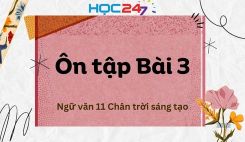 Ôn tập Bài 3