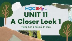 Unit 11 - A Closer Look 1