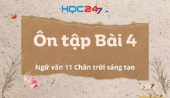 Ôn tập Bài 4