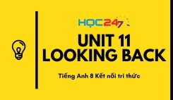 Unit 11 - Looking back
