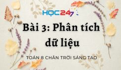 Bài 3: Phân tích dữ liệu