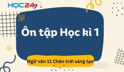 Ôn tập Học kì 1