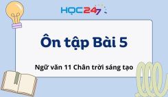 Ôn tập Bài 5