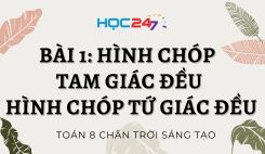 Bài 1: Hình chóp tam giác đều – Hình chóp tứ giác đều