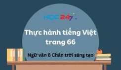 Thực hành tiếng Việt trang 66