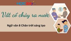 Vắt cổ chày ra nước