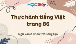 Thực hành tiếng Việt trang 86