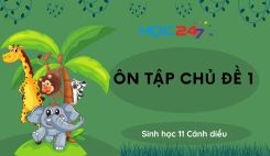 Ôn tập chủ đề 1: Trao đổi chất và chuyển hóa năng lượng ở sinh vật