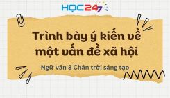 Trình bày ý kiến về một vấn đề xã hội