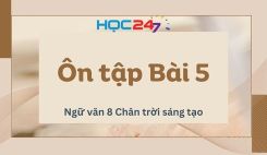Ôn tập Bài 5