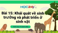 Bài 15: Khái quát về sinh trưởng và phát triển ở sinh vật