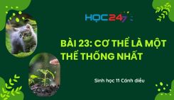 Bài 23: Cơ thể là một thể thống nhất