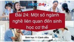 Bài 24: Một số ngành nghề liên quan đến sinh học cơ thể