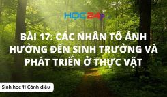 Bài 17: Các nhân tố ảnh hưởng đến sinh trưởng và phát triển ở thực vật