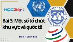 Bài 3: Một số tổ chức khu vực và quốc tế