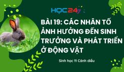 Bài 19: Các nhân tố ảnh hưởng đến sinh trưởng và phát triển ở động vật