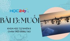 Bài 13: Muối