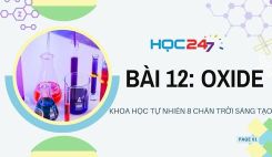 Bài 12: Oxide