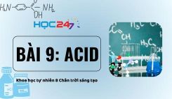 Bài 9: Acid