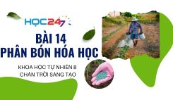 Bài 14: Phân bón hóa học