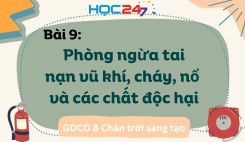 Bài 9: Phòng ngừa tai nạn vũ khí, cháy, nổ và các chất độc hại