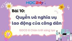Bài 10: Quyền và nghĩa vụ lao động của công dân