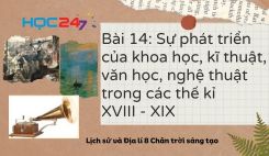 Bài 14: Sự phát triển của khoa học, kĩ thuật, văn học, nghệ thuật trong các thế kỉ XVIII - XIX