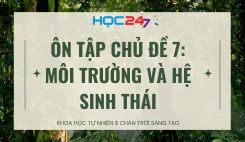 Ôn tập chủ đề 7: Môi trường và hệ sinh thái