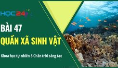 Bài 47: Quần xã sinh vật