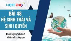 Bài 48: Hệ sinh thái và sinh quyển