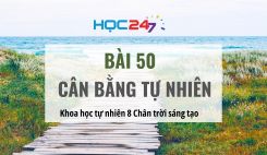 Bài 50: Cân bằng tự nhiên