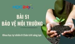 Bài 51: Bảo vệ môi trường