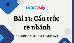 Bài 13: Cấu trúc rẽ nhánh