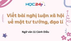 Viết bài nghị luận xã hội về một tư tưởng, đạo lí