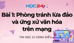 Bài 1: Phòng tránh lừa đảo và ứng xử văn hóa trên mạng