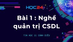 Bài 1: Nghề quản trị cơ sở dữ liệu