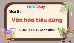 Bài 9: Văn hóa tiêu dùng