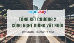 Tổng kết Chương 2