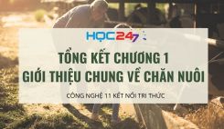 Tổng kết Chương 1