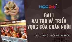 Bài 1: Vai trò và triển vọng của chăn nuôi