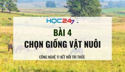 Bài 4: Chọn giống vật nuôi